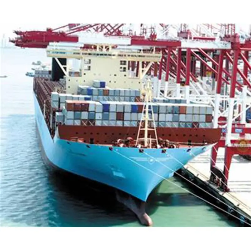 Các loại hàng hóa phổ biến trong vận tải hàng hóa biển