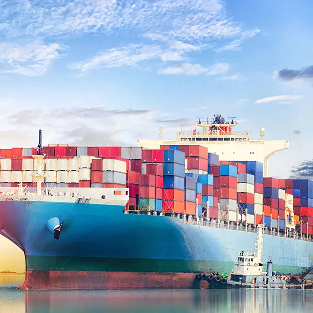 Những chi phí nào liên quan đến vận chuyển hàng hóa biển?